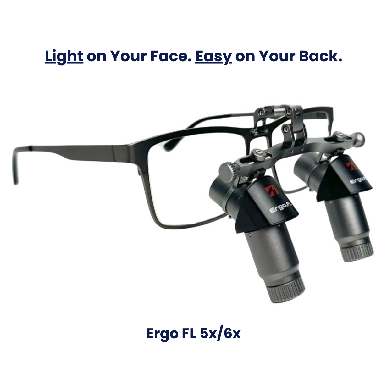 Ergo FL